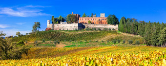 美妙的托斯卡纳景观金秋天葡萄园和城堡