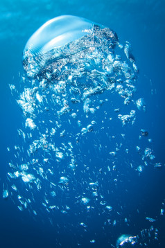 水下空气泡沫的清晰的蓝色的海洋不断上升的的表面