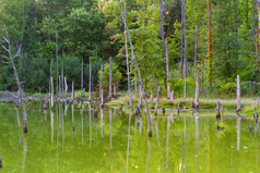 色彩斑斓的秋天风景风景