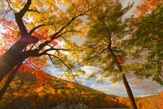 色彩斑斓的秋天风景风景