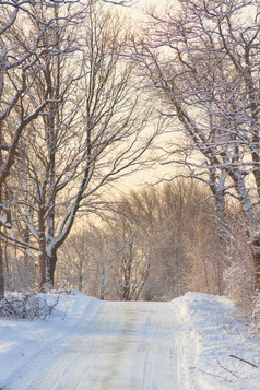 冬天景观白色冬天仙境景观