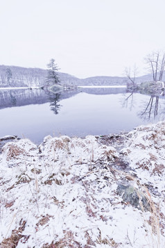 美丽的视图的冻森林湖的冬天