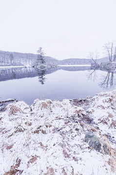 美丽的视图的冻森林湖的冬天