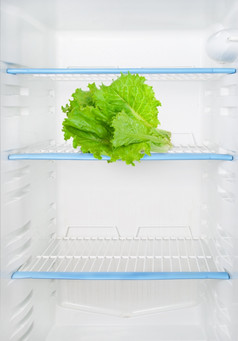 生菜的冰箱
