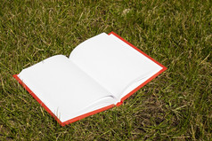开放书与白色页面铺设的草