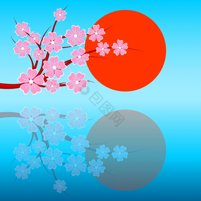 樱花一天图片