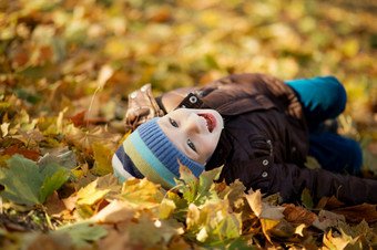 肖像快乐的小男孩打滚秋天树叶微笑有趣的小男孩覆盖与秋天叶子小男孩说谎和有有趣的在五彩缤纷的秋天叶子的公园