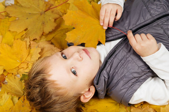 肖像快乐的小男孩打滚秋天树叶微笑有趣的小男孩覆盖与秋天叶子小男孩说谎和有有趣的在五彩缤纷的秋天叶子的公园