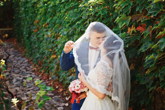 只是结婚了爱的赶时髦的人夫妇婚礼衣服和西装的公园快乐新娘和新郎走的美丽的花园浪漫的结婚了年轻的家庭夏天婚礼