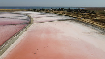 空中前视图美丽的盐湖与粉红色的水视图粉红色的湖从飞行无人机无人机直升飞机摄影从以上景观与无人机