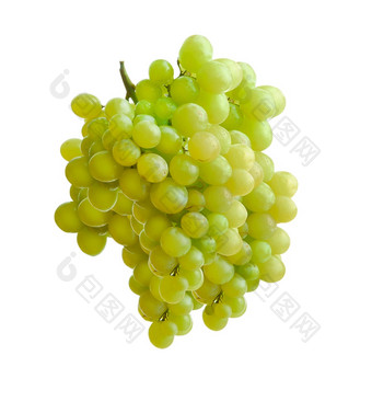 白色葡萄白色背景白色葡萄
