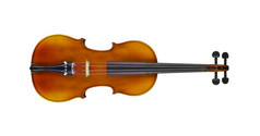小提琴孤立的白色背景