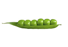 新鲜的绿色豌豆孤立的白色背景新鲜的绿色豌豆
