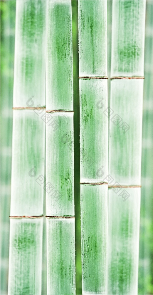 关闭竹子背景纹理竹子背景