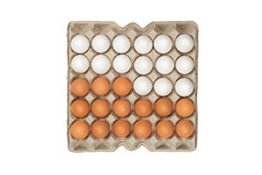 二十四个白色鸡蛋盒子二十四个白色和棕色（的）鸡蛋的盒子