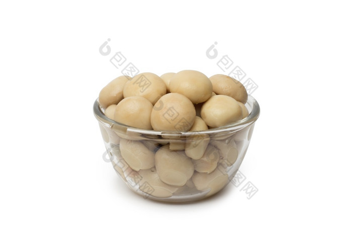 小菜美味的罐头切片蘑菇孤立的白色背景小菜美味的罐头切片蘑菇