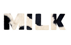 牛奶词从牛皮毛孤立的白色背景与剪裁路径牛奶词从牛皮毛