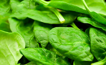 新鲜的绿色生菜沙拉特写镜头背景新鲜的绿色生菜沙拉特写镜头