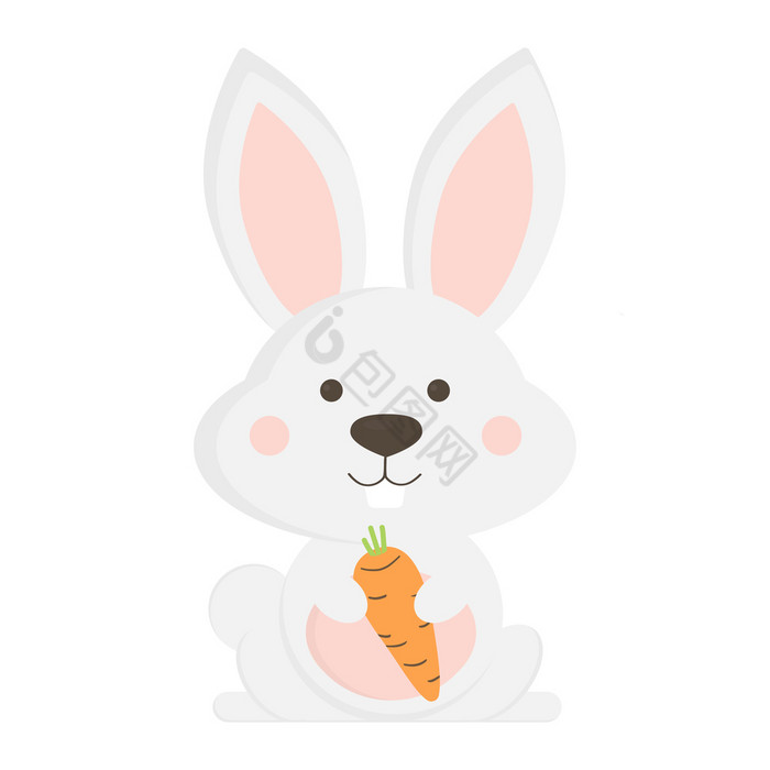 兔子持有胡萝卜的兔子图片