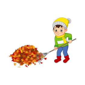 的男孩志愿者清洁秋天叶子