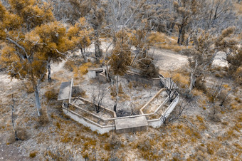 空中照片结构废墟和森林再生后bushfires附近克莱伦斯的中央高地区域新南威尔士澳大利亚