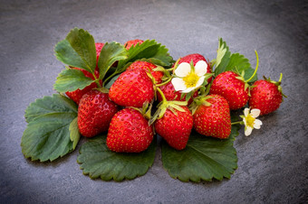 红色的成熟的草莓与叶子在黑暗背景成熟的红色的草莓在黑暗