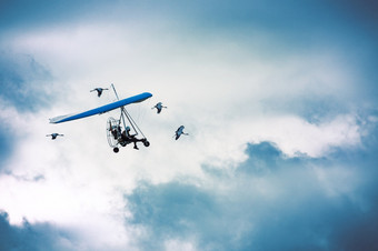 超轻型飞机飞行在蓝色的多云的天空和包围起重机超轻型飞机飞行在的起重机
