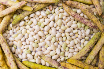 堆新鲜的白色椰子树豆子的豆荚和去皮菜豆寻常的椰子树潘波勒豆子背景