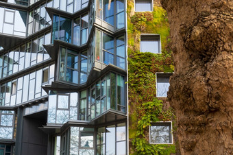 雷恩法国3月城市外观垂直绿色花园体系结构生态建筑雷恩法国植被绿色建筑的城市