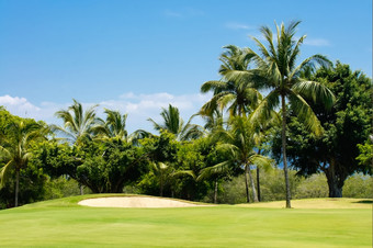 高尔夫球<strong>课程包</strong>围棕榈树波多黎各墨西哥墨西哥
