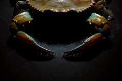 生蓝色的蟹在黑暗背景海鲜