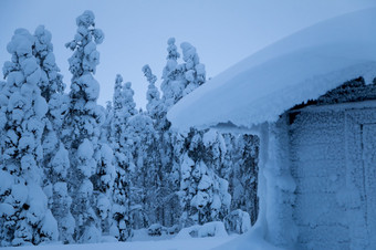冬天晚上很多雪<strong>小白</strong>雪覆盖的房子的边缘的森林<strong>小白</strong>雪覆盖的房子的边缘的冬天森林