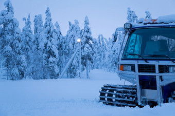 冬天晚上树下降了分支机构下的重量大帽雪雪地履带式车辆的边缘的森林冬天晚上和的雪地履带式车辆的边缘的森林