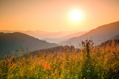 低喀尔巴阡山夏天的晚上太阳照亮各种各样的草本植物的山腰不同的山草本植物的射线的设置太阳
