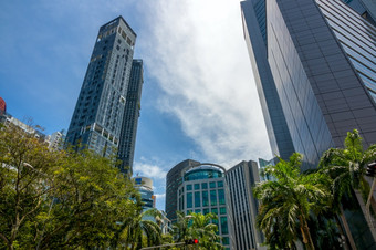 <strong>新加坡</strong>阳光明媚的一天高摩天大楼棕榈和其他树手掌和摩天大楼<strong>新加坡</strong>街