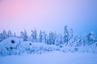 边缘的冬天森林很多雪几个雪大炮是行雪大炮的边缘的冬天森林