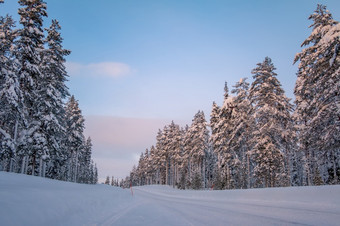 芬兰晚上冬天森林空路很多雪雪路的冬天森林