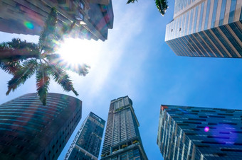 新加坡现代办公室摩天大楼和的太阳射线通过的绿色叶子棕榈树现代办公室摩天大楼和的太阳