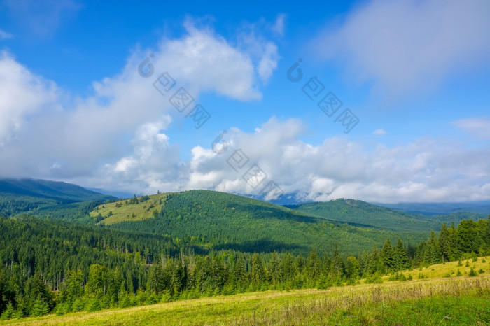 夏天的草木丛生的山云的蓝色的天空的太阳照亮的快乐与厚草和的山坡上快乐的夏天草木丛生的山