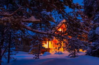 冬天晚上森林松分支机构覆盖与大帽雪点燃小屋的背景雪松分支机构和点燃森林小屋