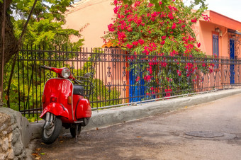 夏天盛开的花园阳光明媚的天气<strong>红色</strong>的踏板车复古的风格停的<strong>栅栏栅栏</strong>开花花园和<strong>红色</strong>的踏板车