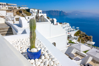 希腊白色房子的aio多山的海岸圣托里尼岛阳光明媚的一天和装饰仙人掌白色鹅卵石装饰仙人掌和白色房子圣托里尼岛