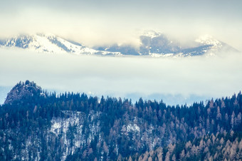 冬天的山多云的天气在树木<strong>繁茂</strong>的雪山坡上雾和云冬天雾和云的树木<strong>繁茂</strong>的山