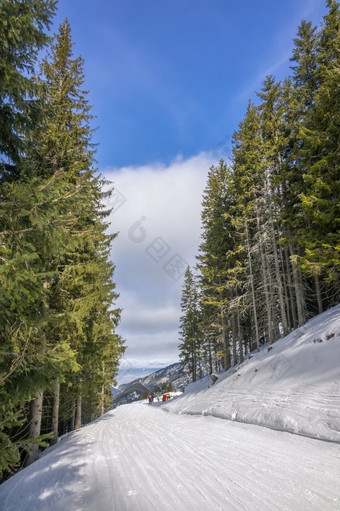 斯洛伐克冬天滑雪度假胜地明亮阳光明媚的天气狭窄的滑雪坡在巨大的梳理阳光明媚的天气狭窄的滑雪坡在梳理