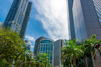 业务中心新加坡阳光明媚的一天蓝色的天空和摩天大楼绿色树和交通灯的十字<strong>路口</strong>街道绿色十字<strong>路口</strong>之间的的摩天大楼新加坡