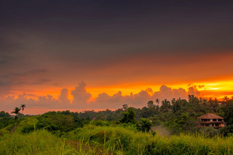 印尼热带雨林和房子<strong>日落</strong>美丽的云的地平线<strong>日落</strong>云在热带雨林