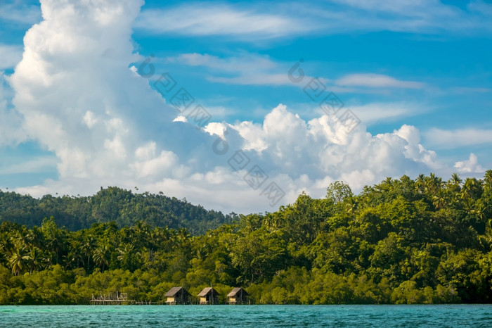 印尼海岸的热带岛杂草丛生的与热带雨林阳光明媚的天气三个小屋高跷热带海岸与热带雨林和三个小屋高跷
