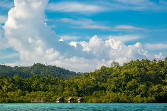 印尼海岸的热带岛杂草丛生的与热带雨林阳光明媚的天气三个小屋高跷热带海岸与热带雨林和三个小屋高跷
