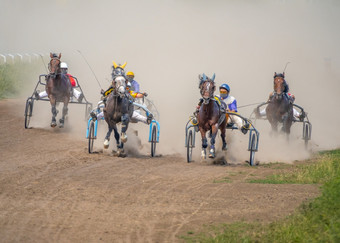 阳光明媚的夏天一天的hippodrome<strong>五个</strong>马利用车是运行<strong>五个</strong>马竞争利用赛车夏天一天