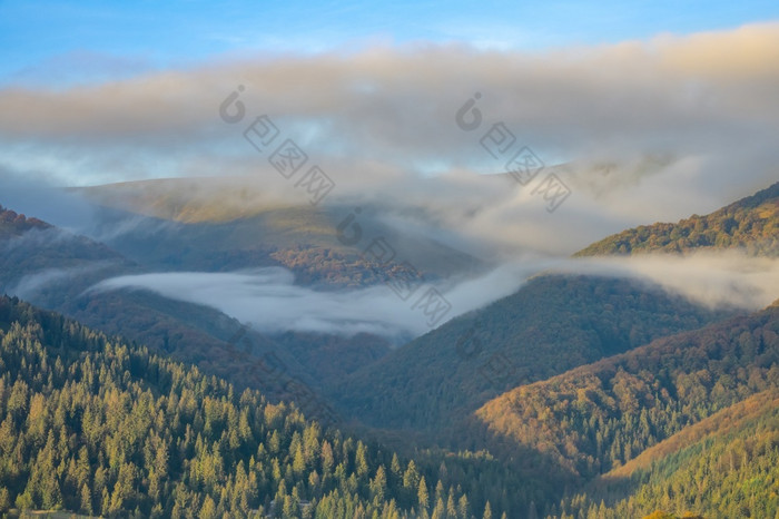 阳光明媚的一天夏天乌克兰喀尔巴阡山光雾之间的树木繁茂的山的第一个射线的太阳照亮的山山峰一天雾在的树木繁茂的乌克兰喀尔巴阡山